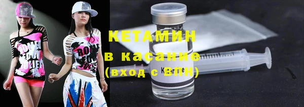 крисы Мегион