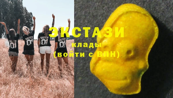крисы Мегион
