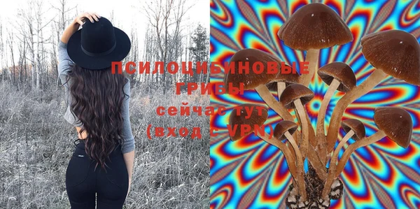 твердый Магадан
