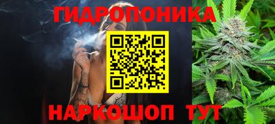 синтетический гашиш Заводоуковск