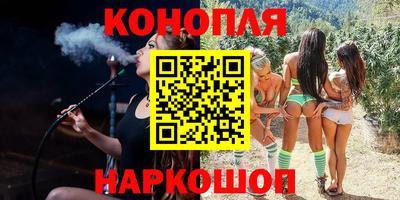 мяу мяу мука Аргун