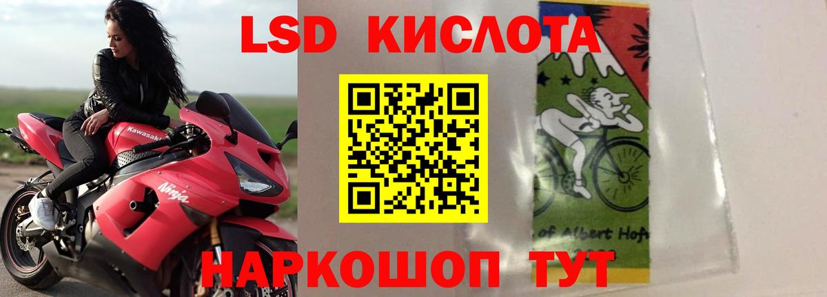 A PVP Махачкала