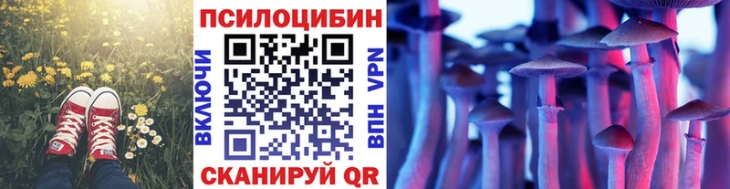 Галлюциногенные грибы ЛСД  Махачкала 
